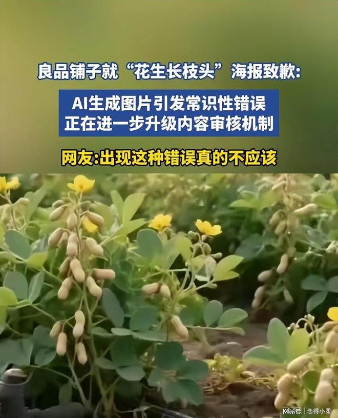 新闻：比段子更精彩的未曝光事件开元棋牌2025年啼笑皆非奇葩(图7)