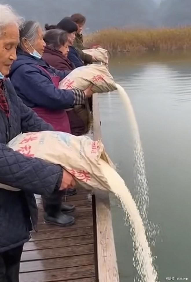 新闻：比段子更精彩的未曝光事件开元棋牌2025年啼笑皆非奇葩(图15)